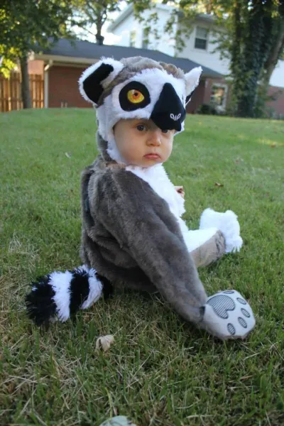 Wild for Wildlife Winner