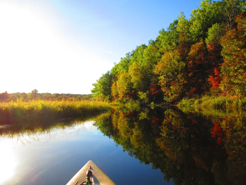 Kayaking on Glass