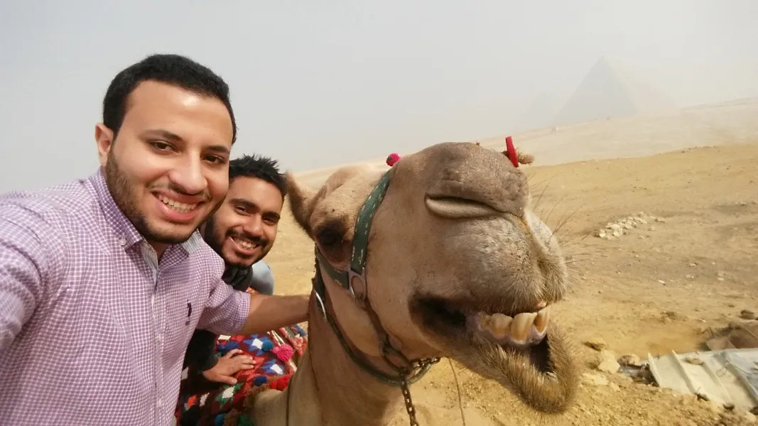 Smiling Camel