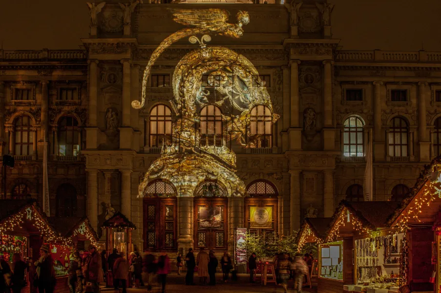 Christmas Market  Vienna