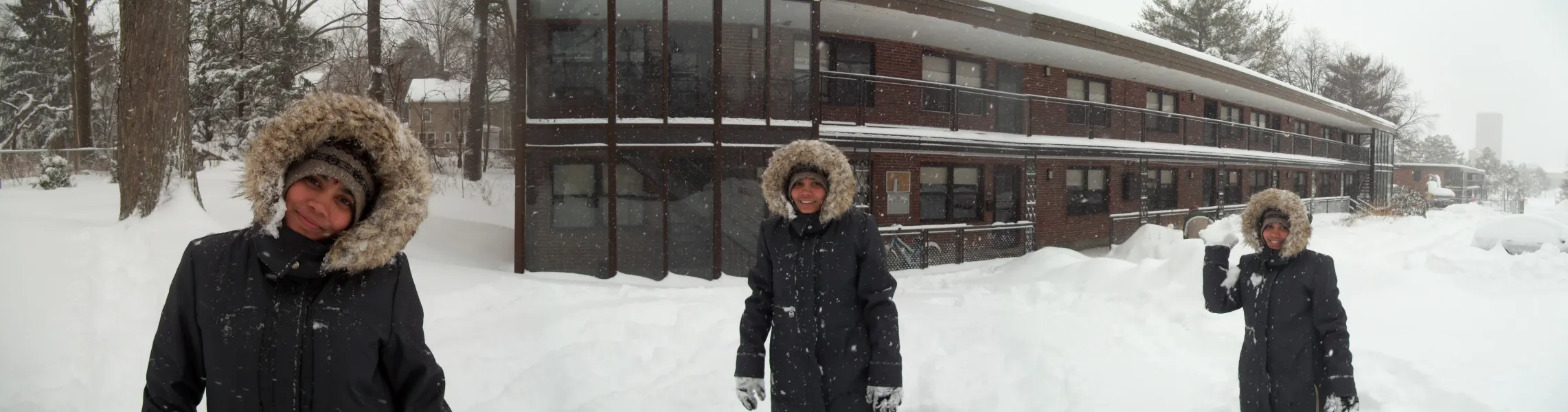 Snow Panaroma