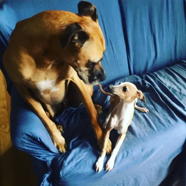 Why are you so small?