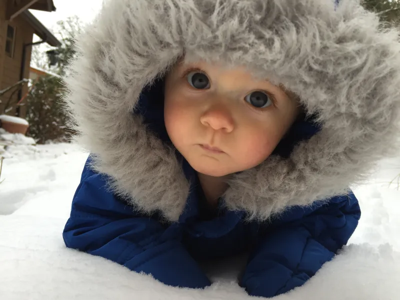 Snowpocolypse in Portland!