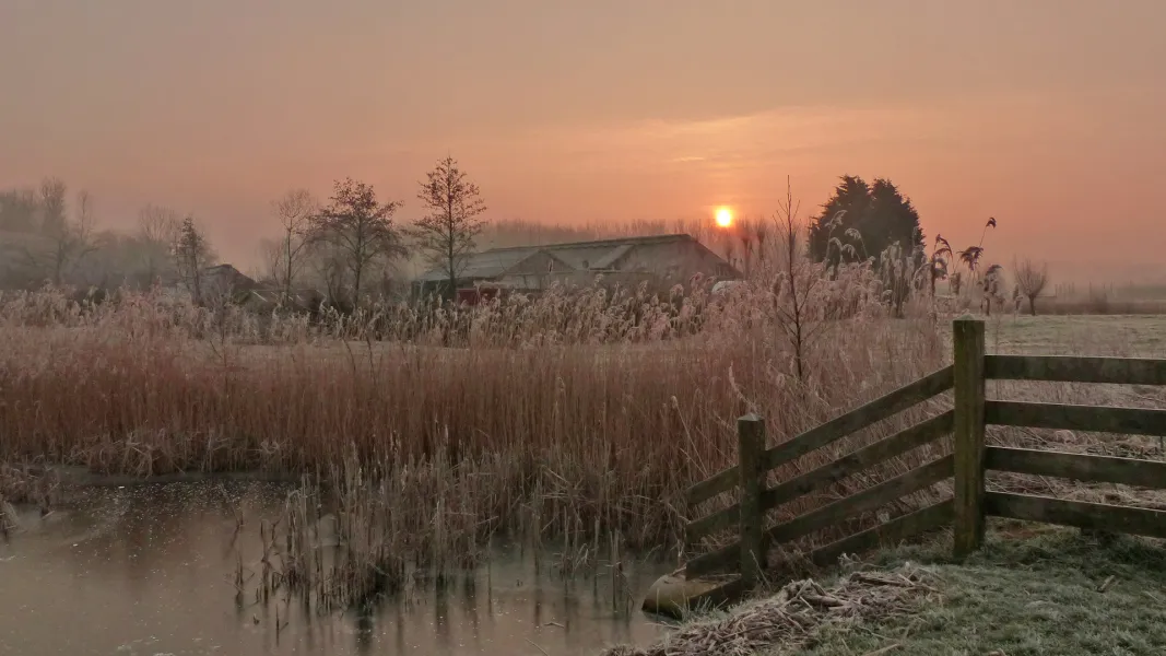 a picturesque wintermorning