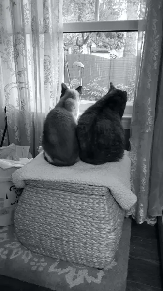 Sharing a Window Seat