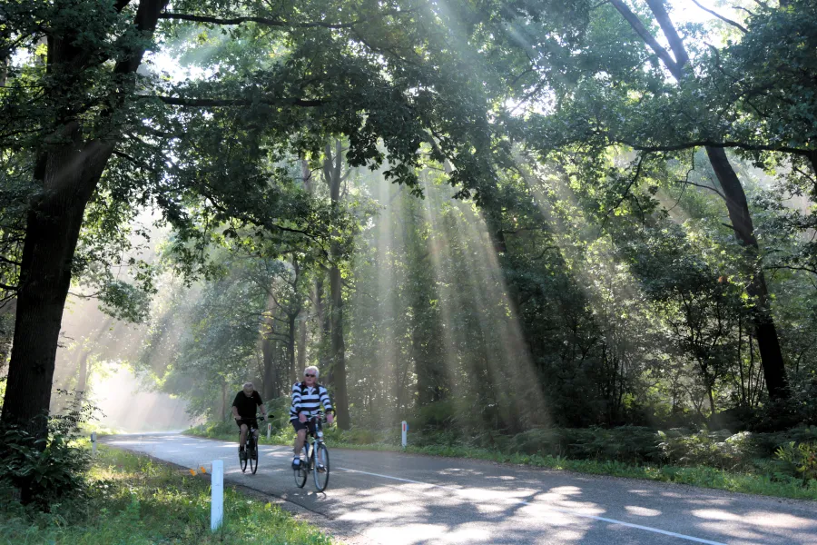 Misty start in Montfort (The Netherlands)