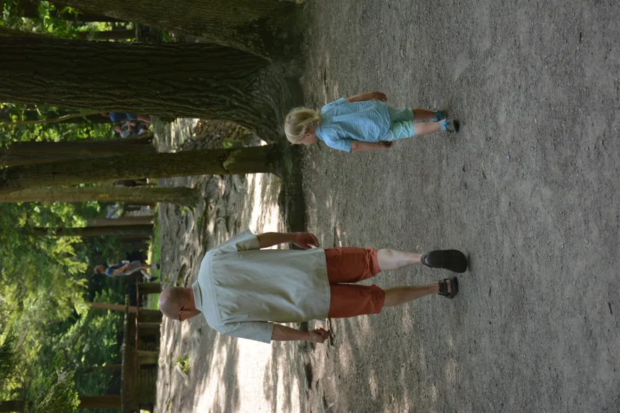 Like father, Like son