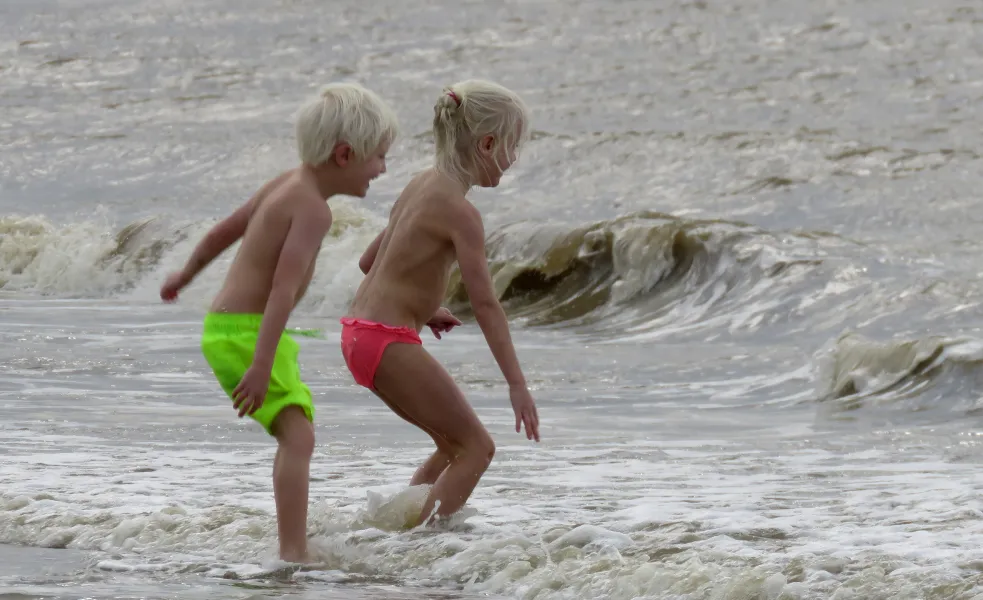 summerjoy  in autumn