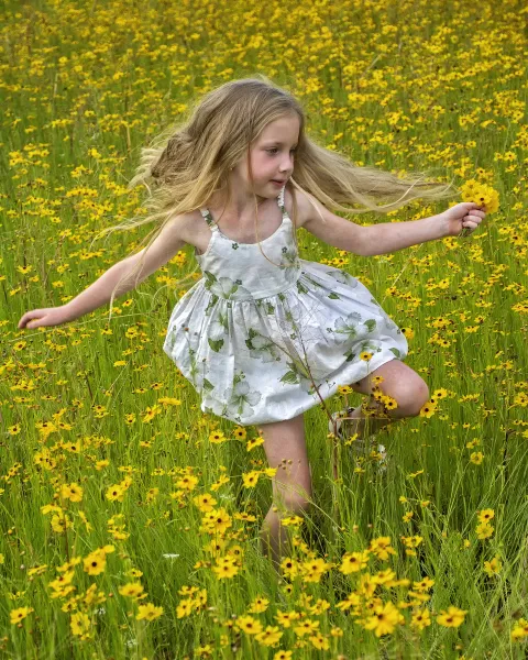 Running through the coreopsis flowers.