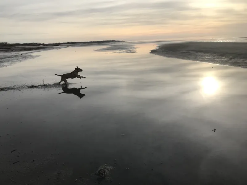 Christmas Day Beach Walk