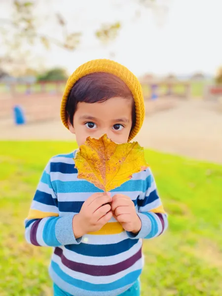 Even leaves fall for you