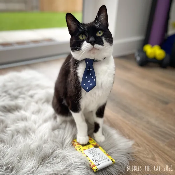 Gib me another breakfast or da choklit gets it ???