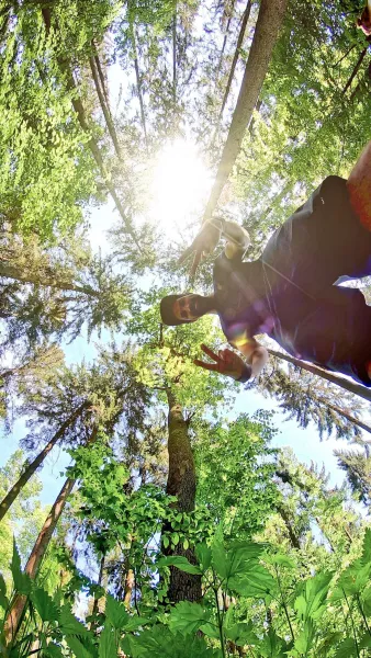 Spring feelings in the forest