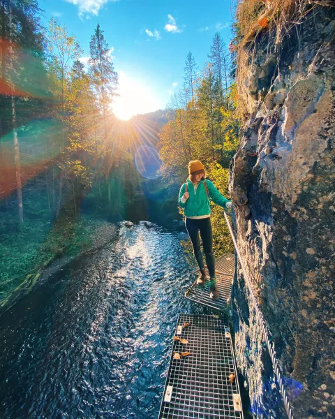 Trochę góry, trochę tor przeszkód ☀️