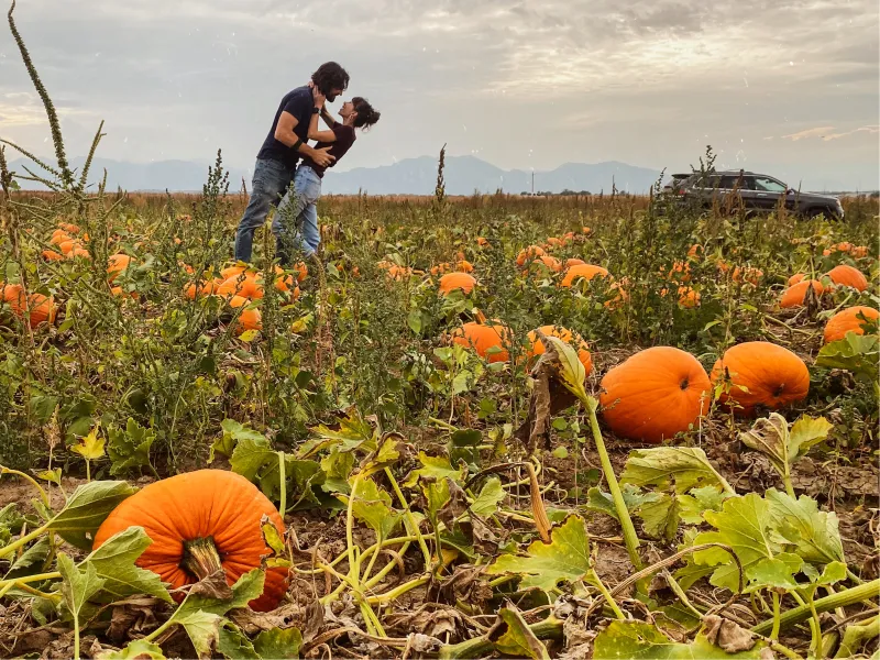 5 fun facts about pumpkins