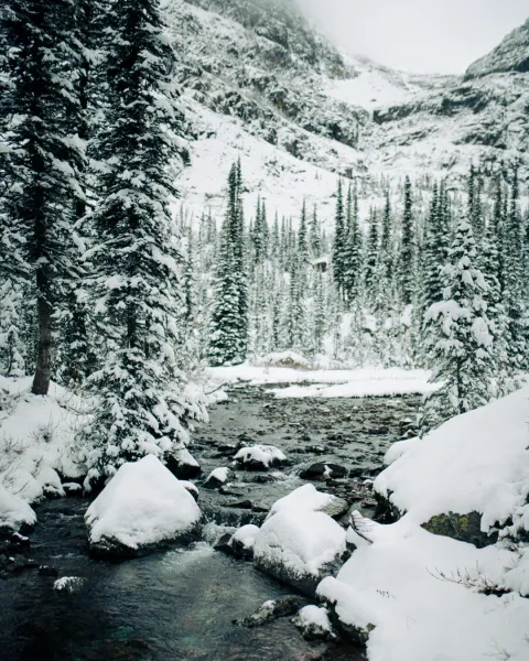 frozen hydration reservoir, 2021.