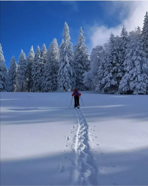 Les journées magnifiques qui vident la tête
