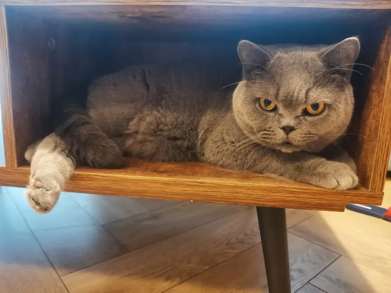 And where are you hiding on this scorching summer day?