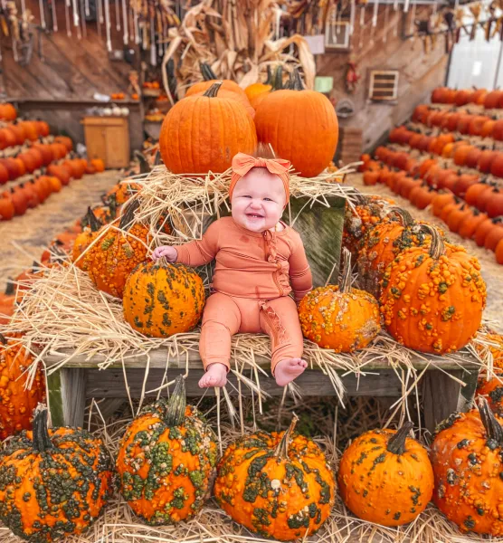 Tendercrop years 1, 2, &amp; 3