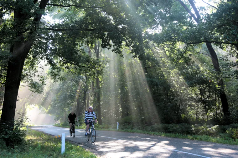 Misty start in Montfort (The Netherlands)