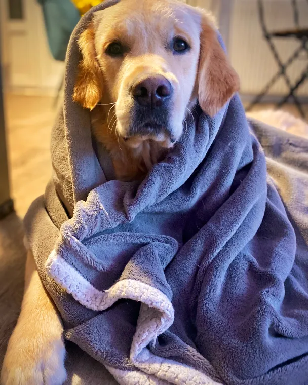 Buck in a dressing gown after his shower!