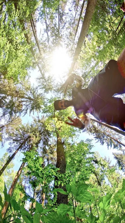 Spring feelings in the forest 