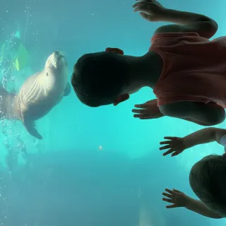 Fun at the Long Island Aquarium in Riverhead NY