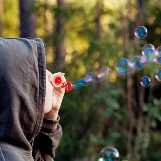 Bubbles in the woods
