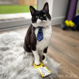 Gib me another breakfast or da choklit gets it ???