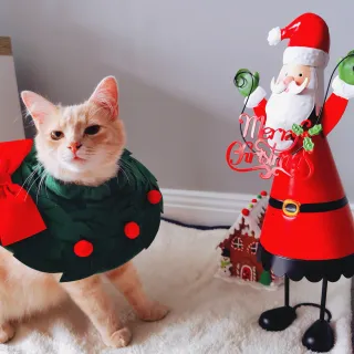 My hooman saying that I look adorable ❤️