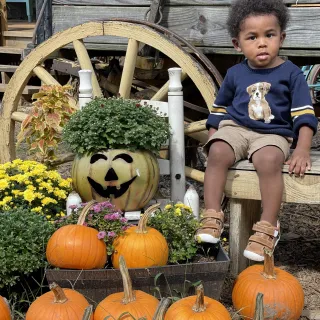 Halloween Fun at Pumpkin Patch Farm